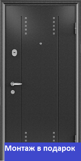 Torex входная стальная дверь  Super OMEGA 8 / входная  черный шелк RP-3/, белый перламутр RS-2.